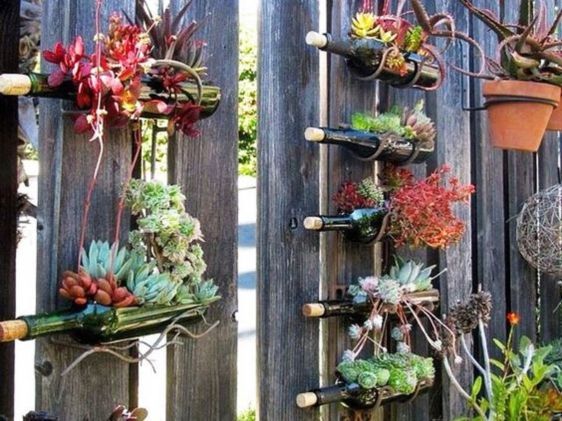 Bottle garden ideas which are borderline genius