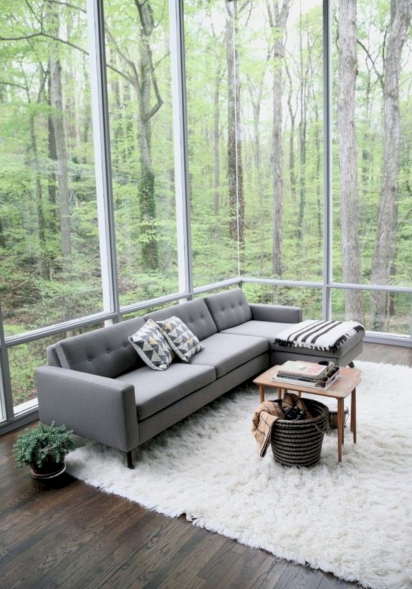 Ceiling windows in living room
