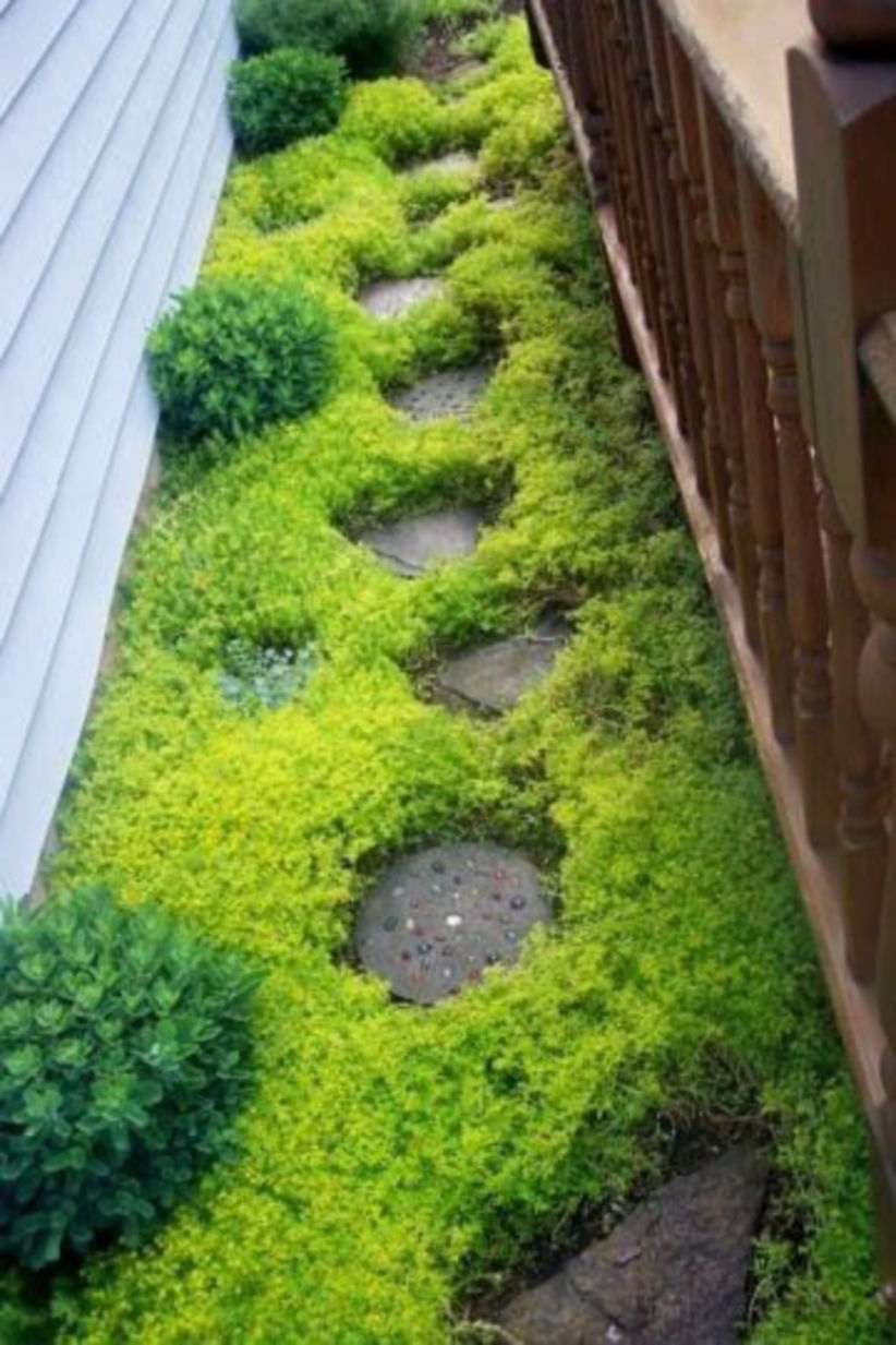 Easy backyard ideas that are borderline genius