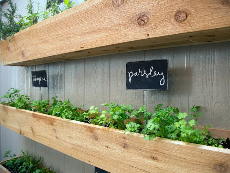 10. parsley