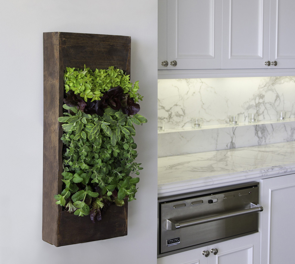 3. kitchen herb