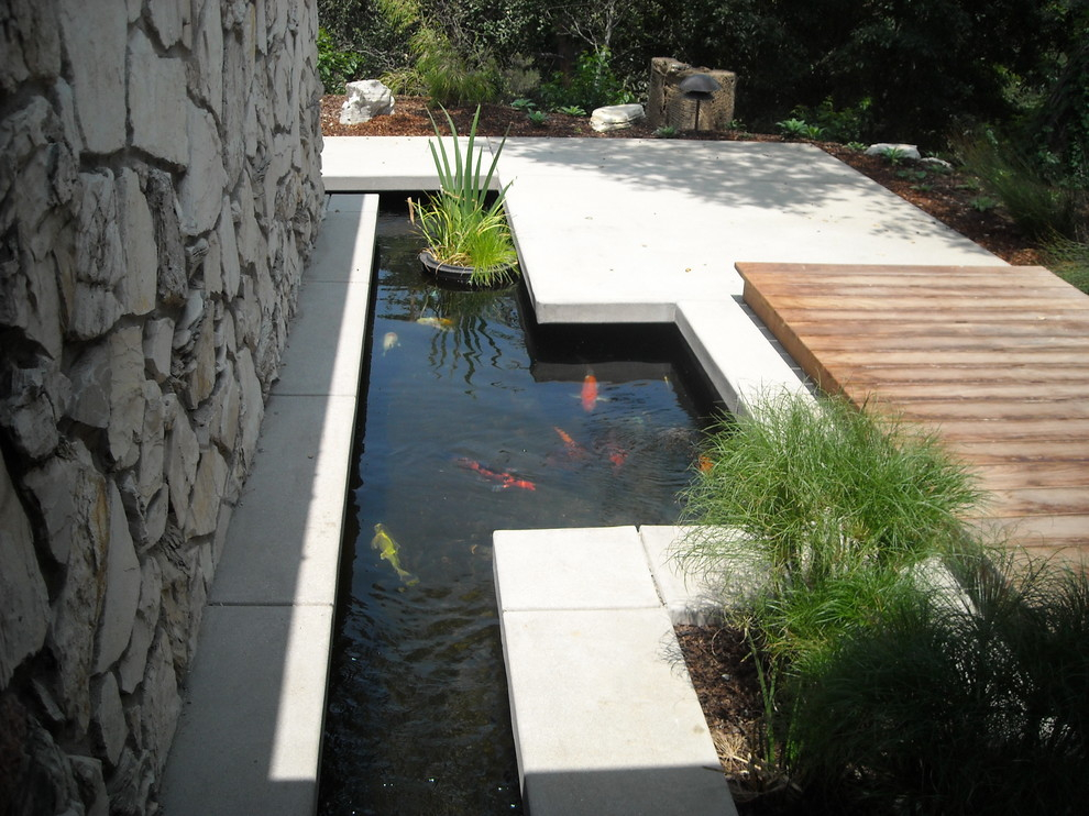 Contemporary pond