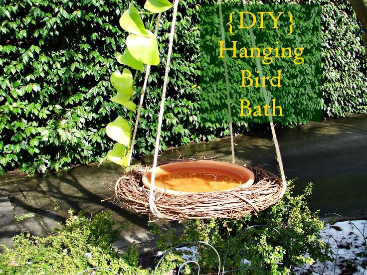 Hanging bird bath