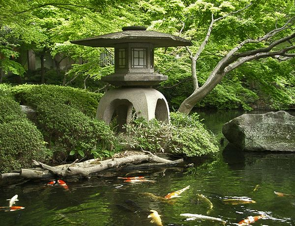 Japanese garden with koi pond