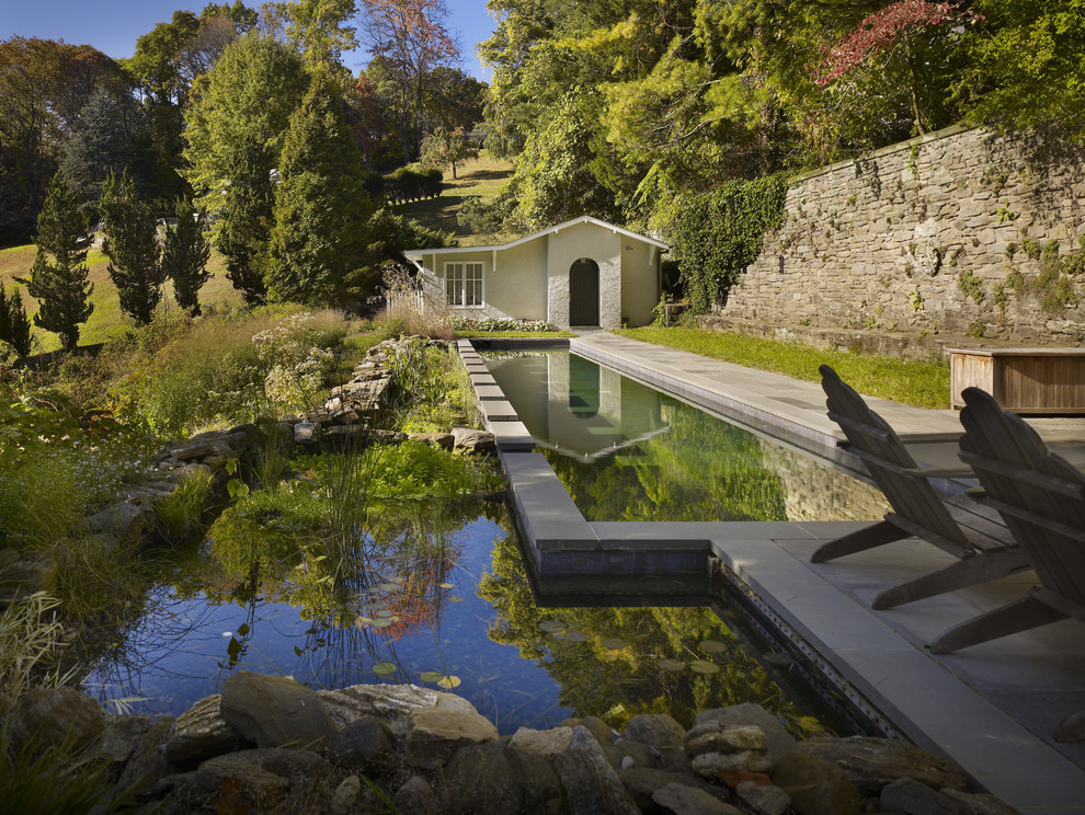 Natural pond