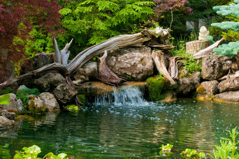 Pond with water feature