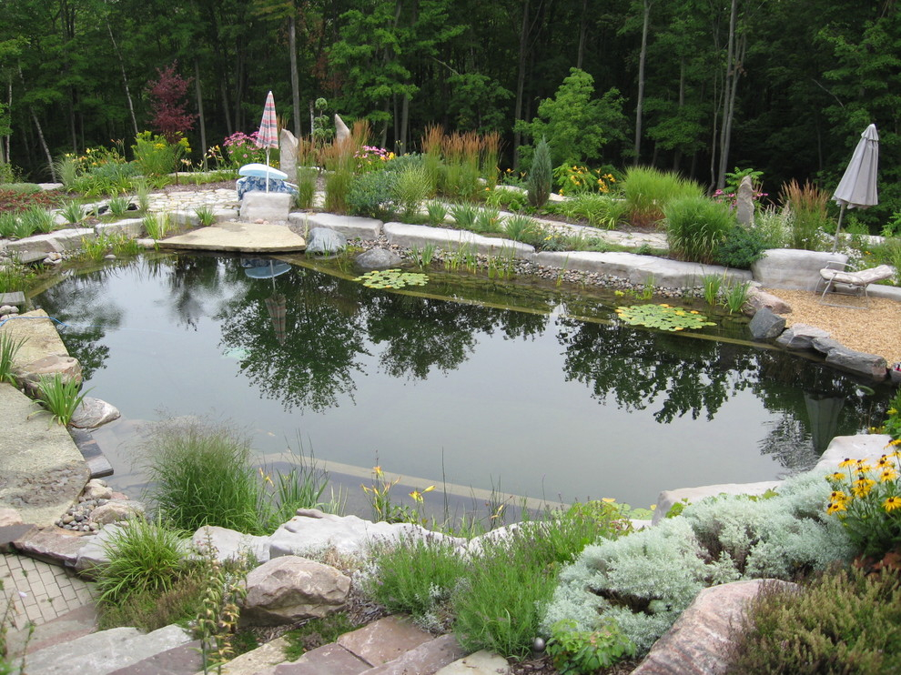 Pond with water plants