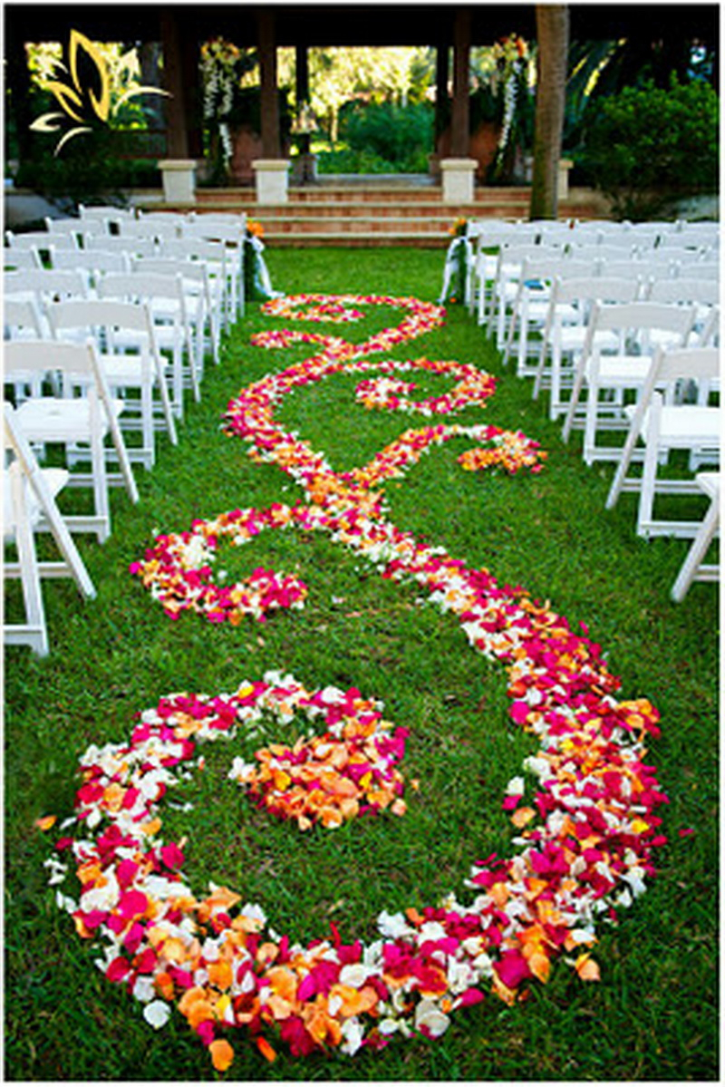 3. flower's petal2