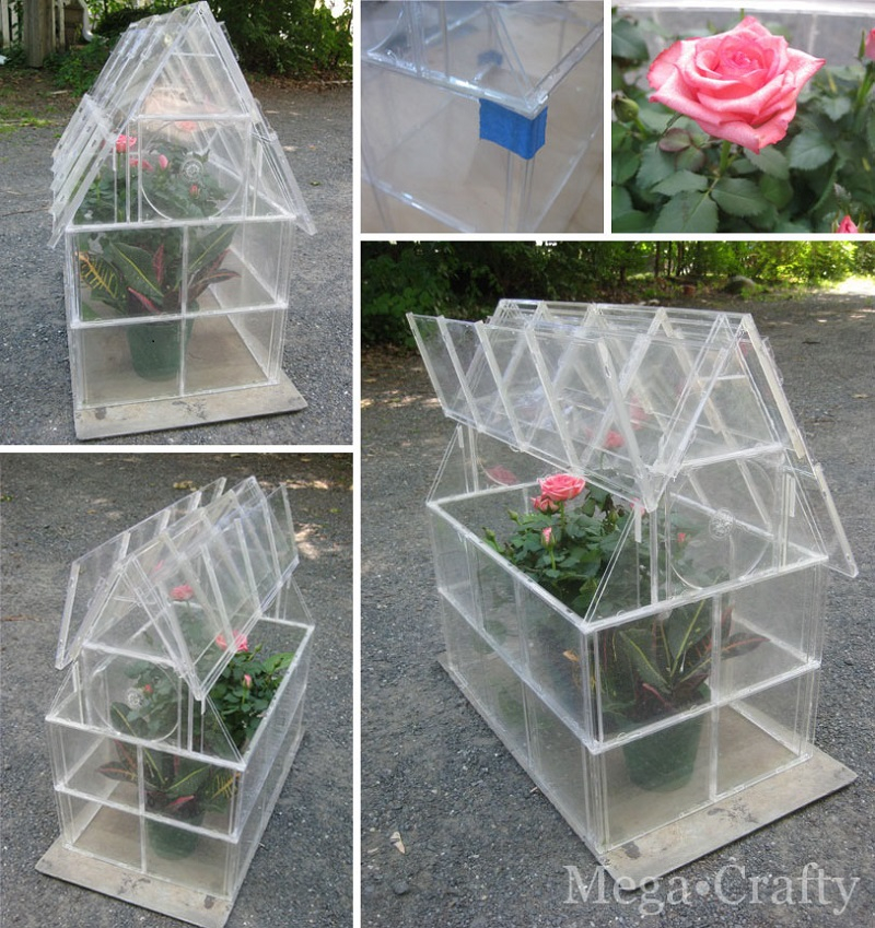 Cd-case-greenhouse