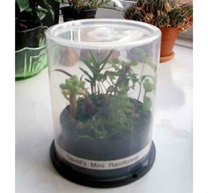 Cd-spindle-case-greenhouse