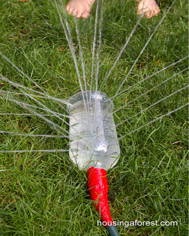 Gardening activities for kids 6