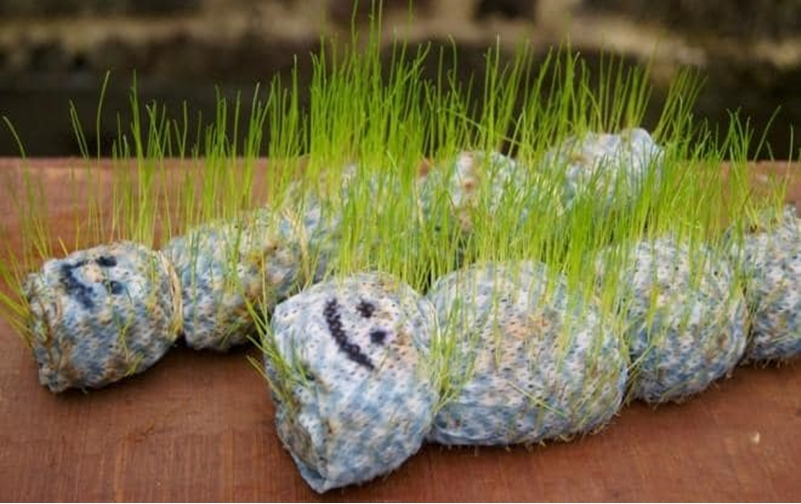 Gardening activities for kids 8