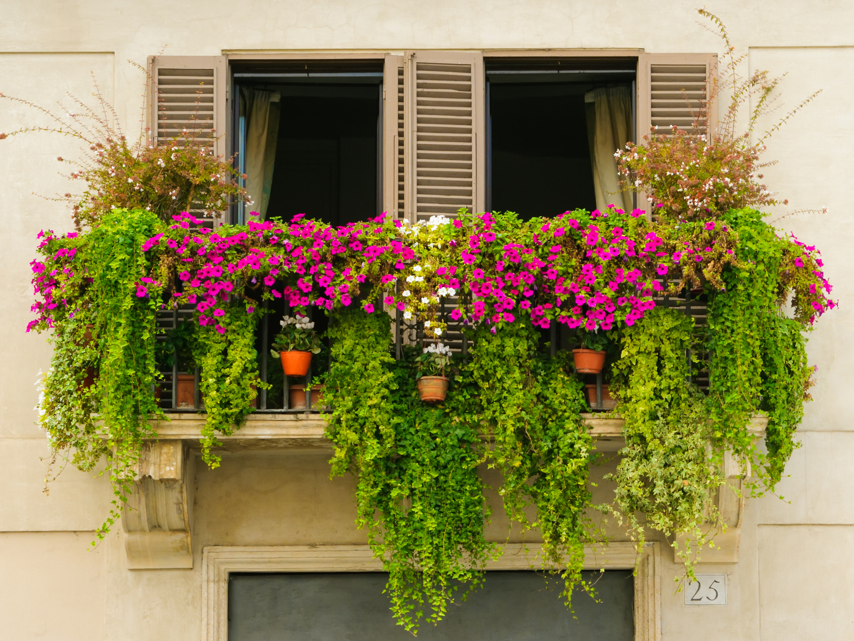Grow your plants in containers
