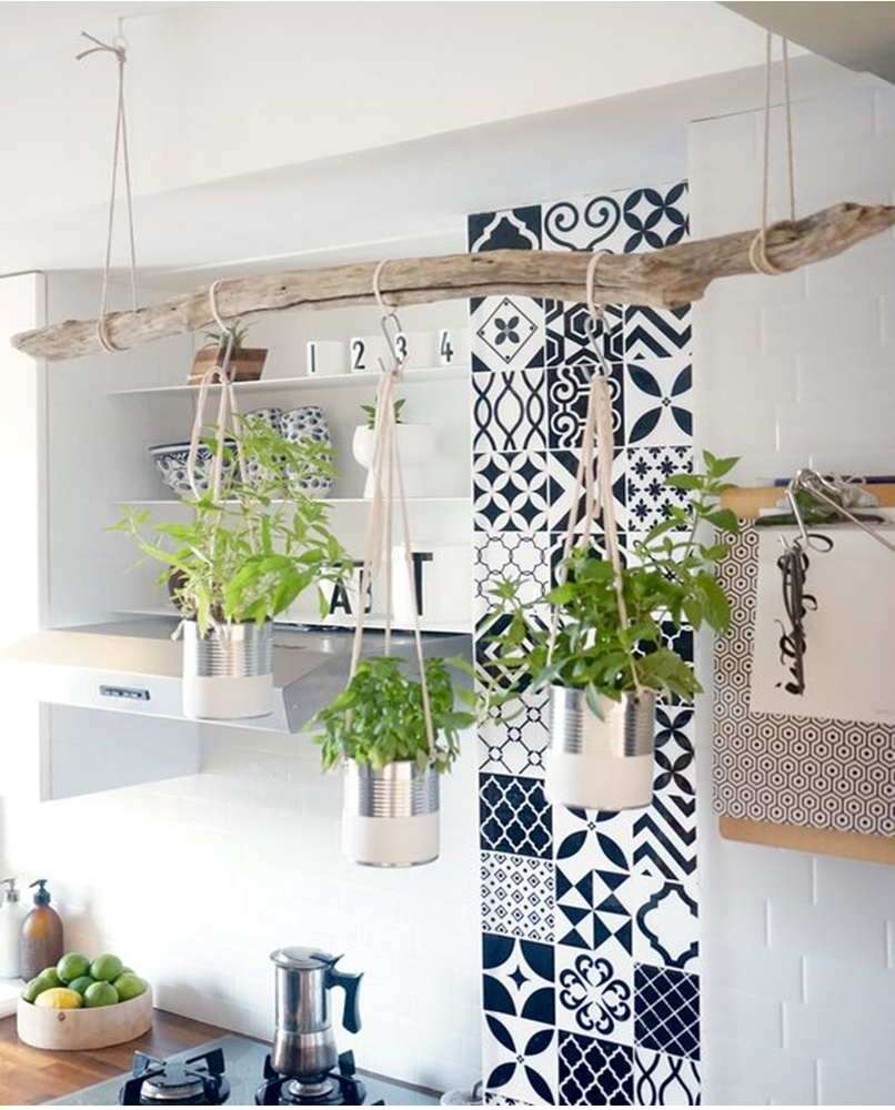 Kitchen herbs garden 2