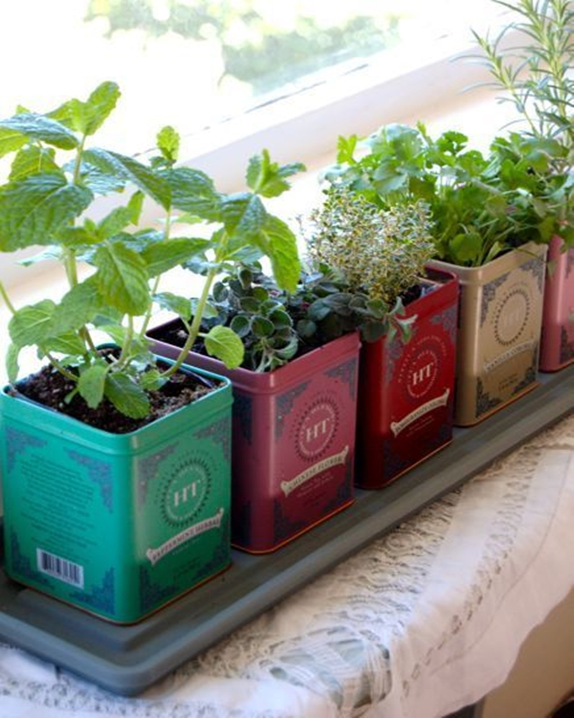 Kitchen herbs garden 5