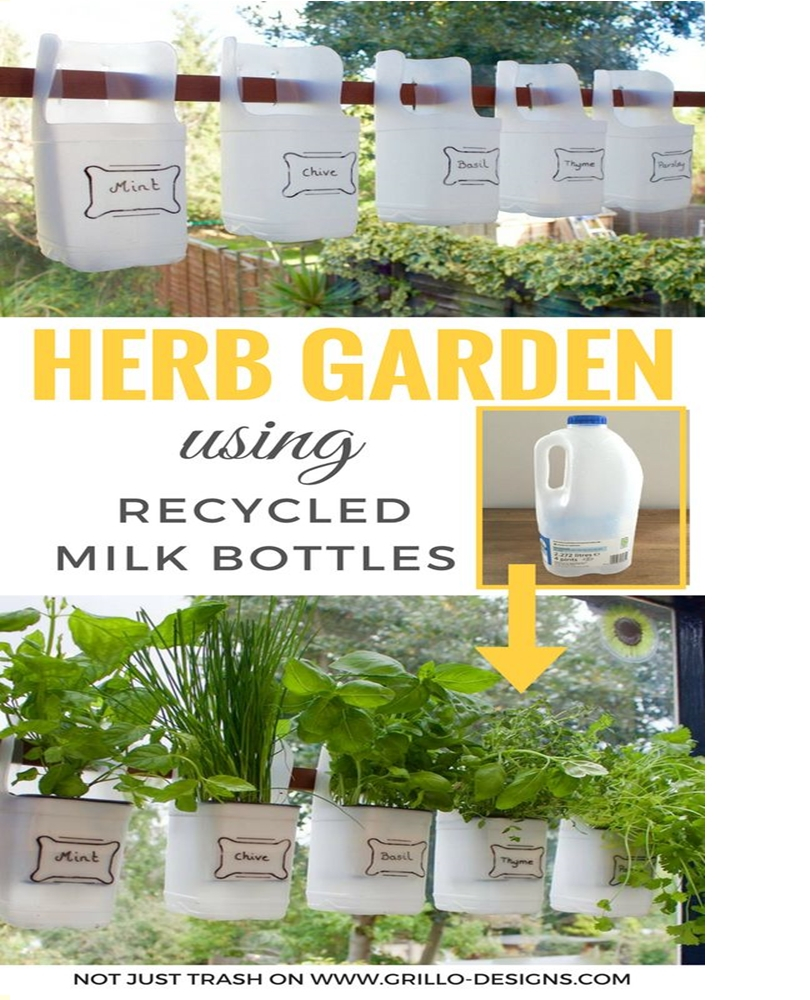 Kitchen herbs garden 9