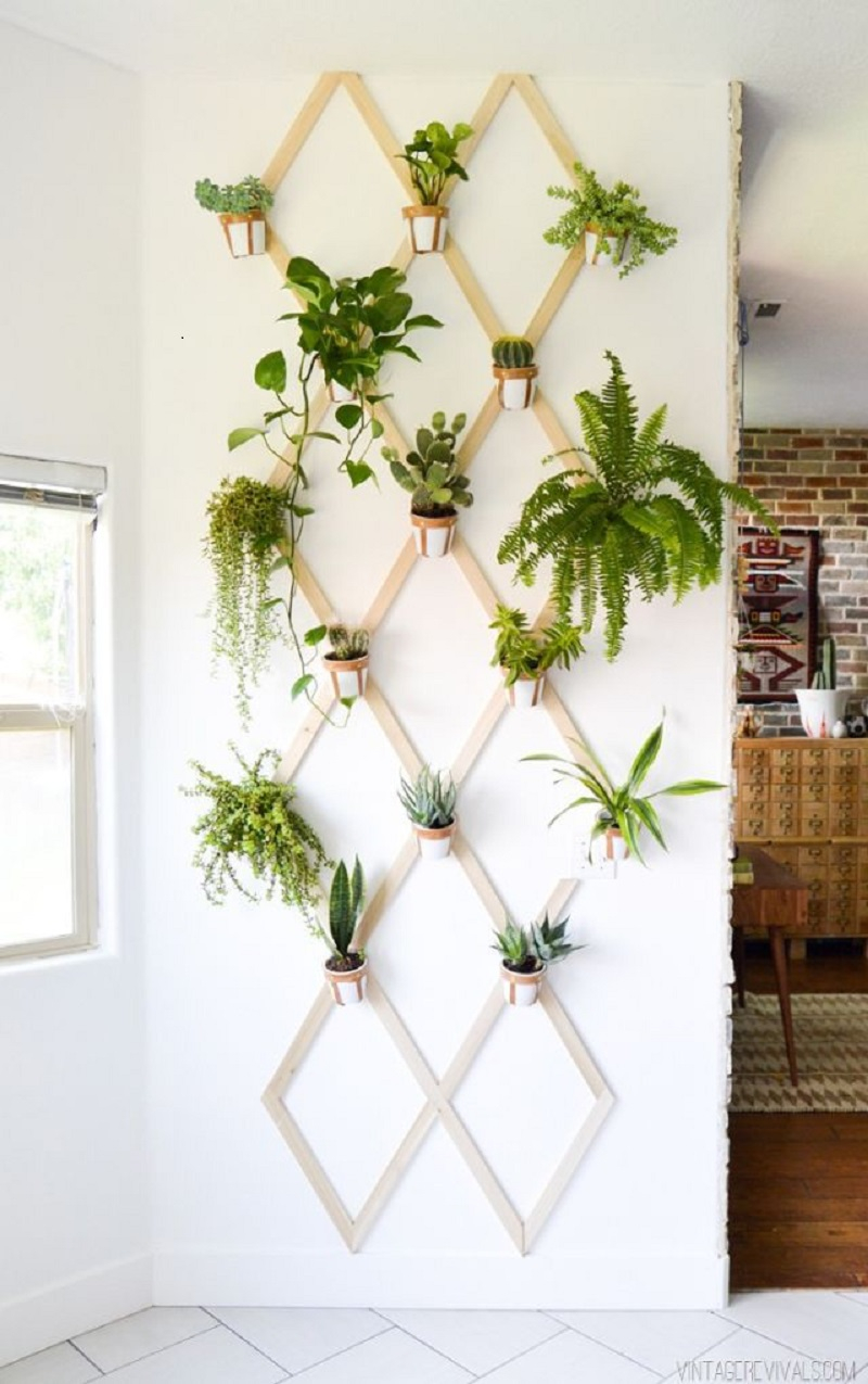 Leather and wood trellis