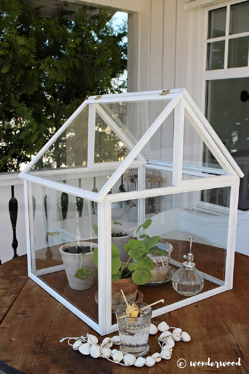 Photo-frame-greenhouse