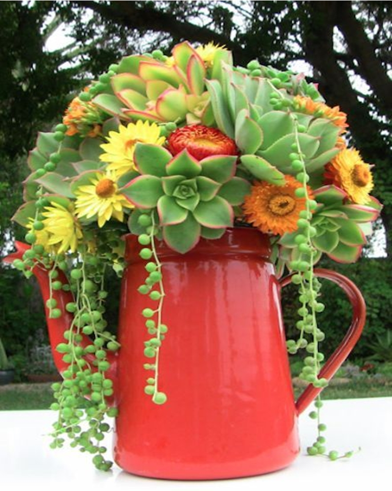 Succulents garden ideas 7