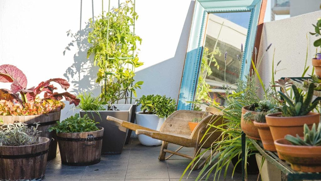 Urban garden with antique mirror