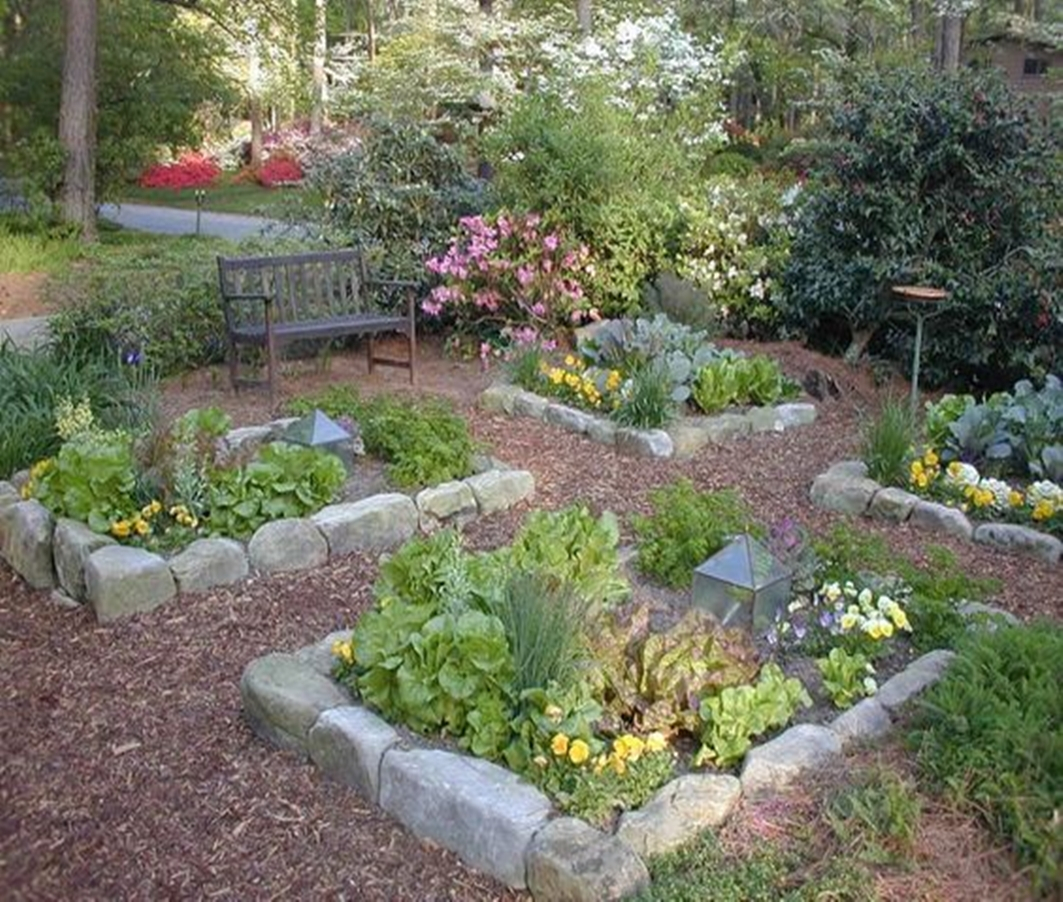 Vegetable garden 3
