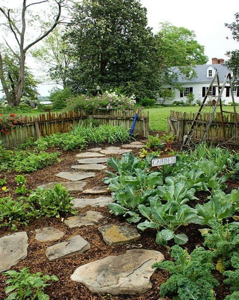 Vegetable garden 4