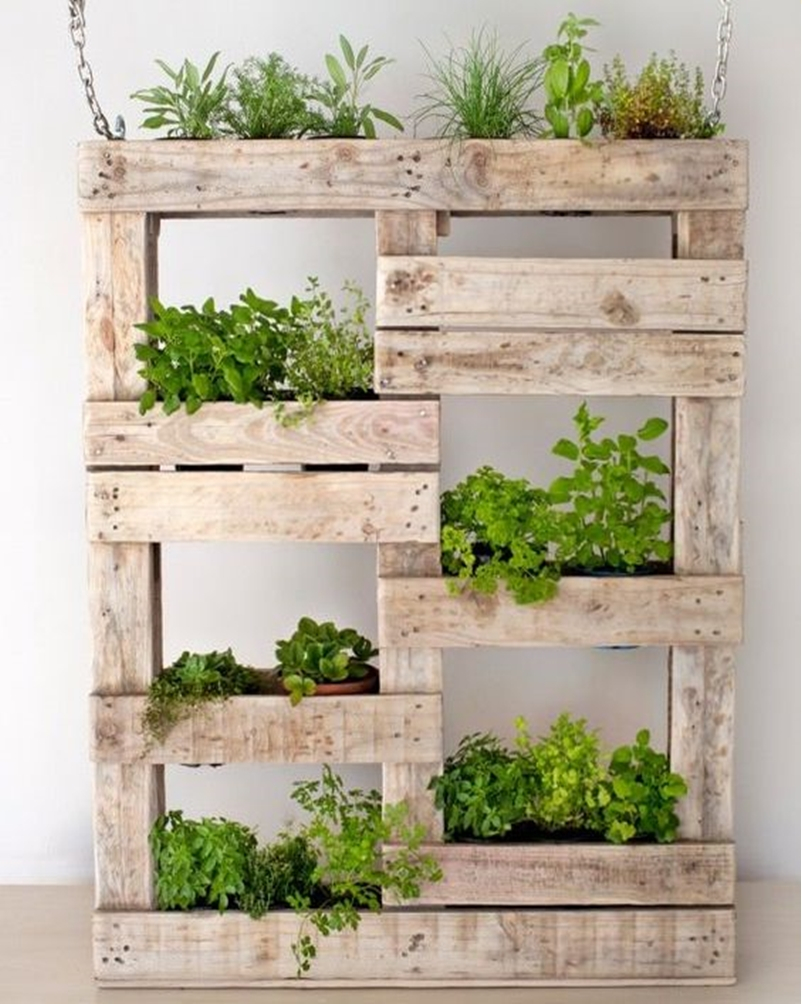 Vegetable garden 6