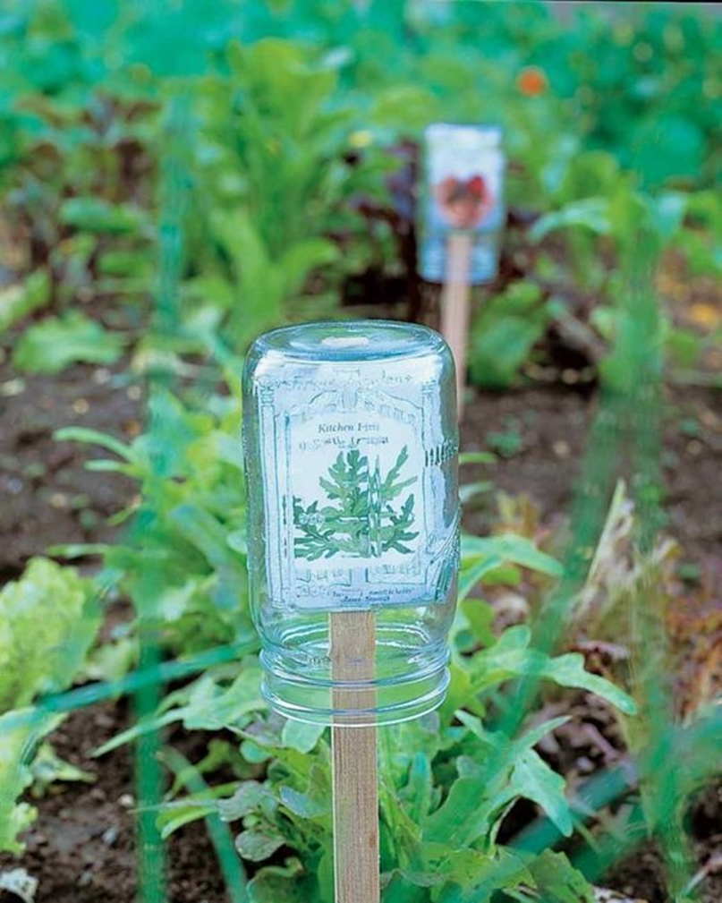 Vegetable garden 8