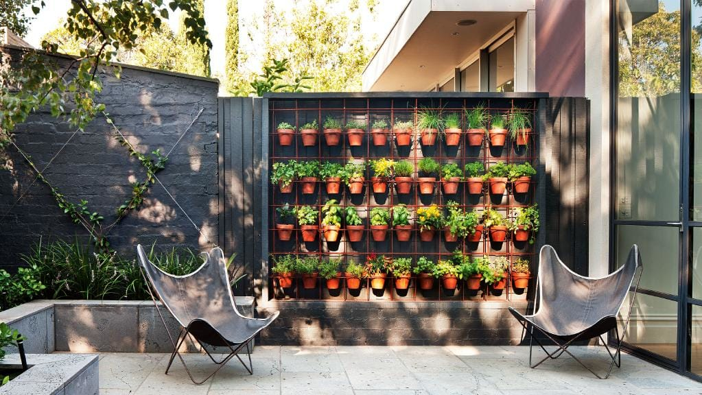 Vertical urban garden