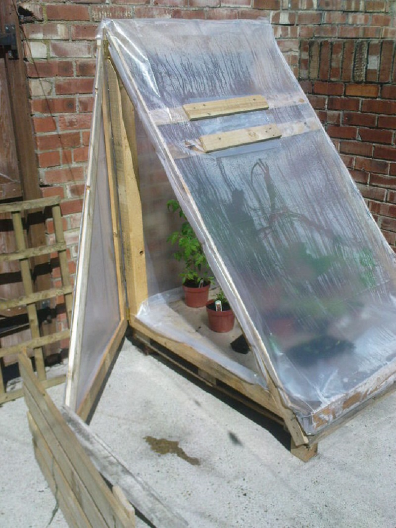 Greenhouse-from-a-pallet