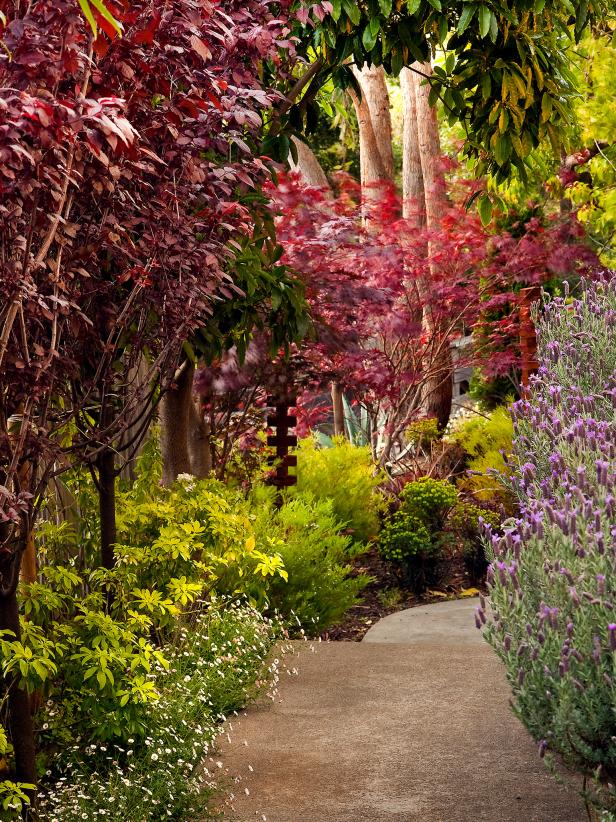A path of tranquility