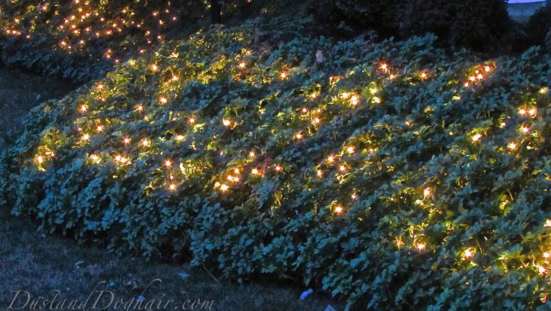 Garden lighting magical ground