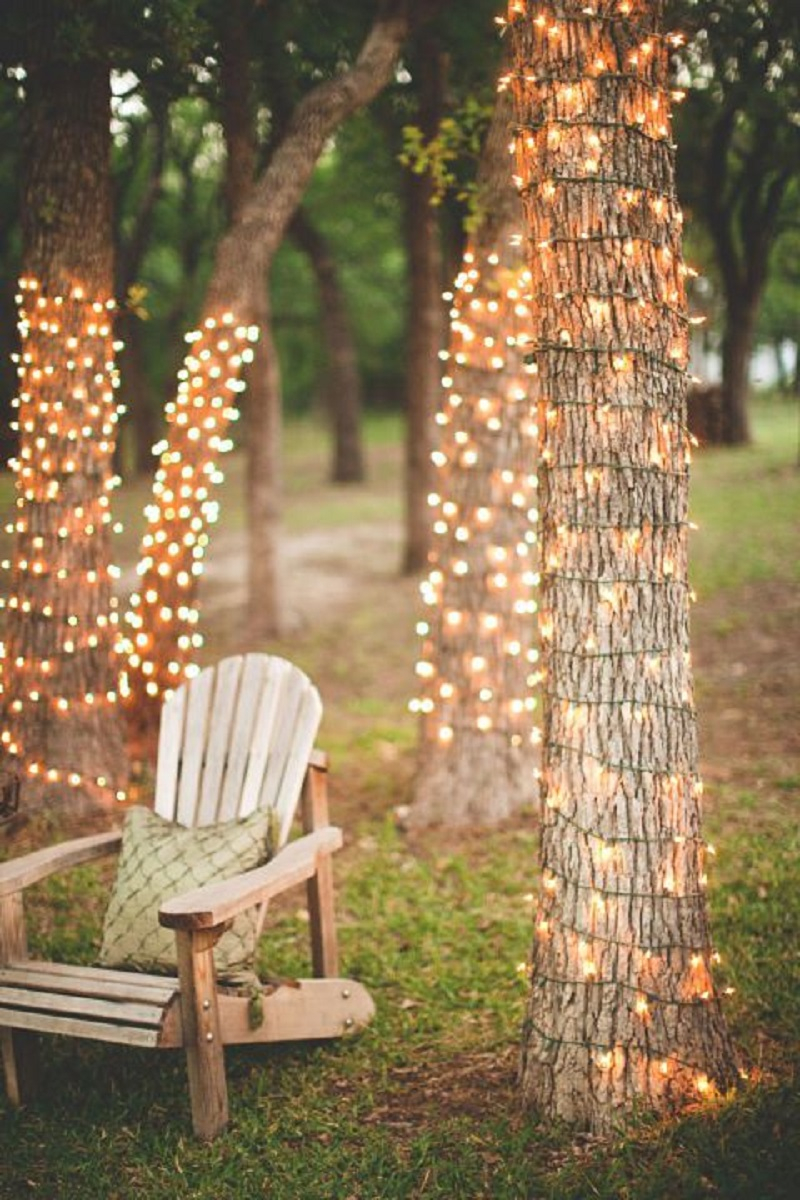 Light up your trees