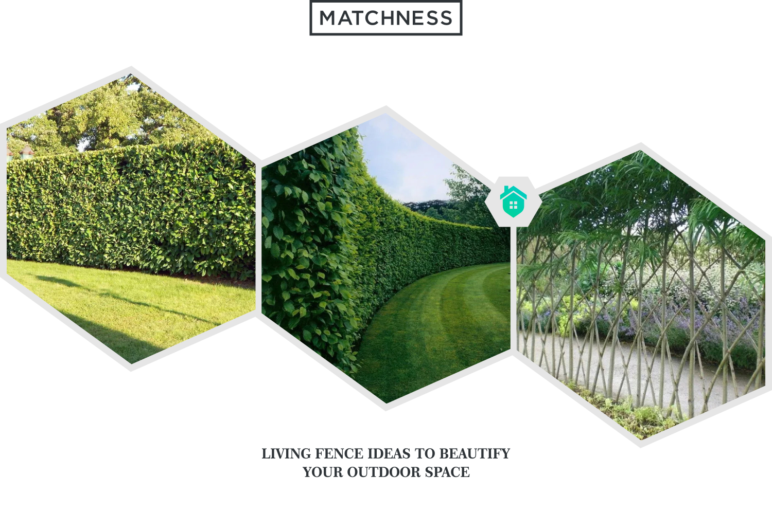 Living Fence Ideas To Beautify Your Outdoor Space Matchness