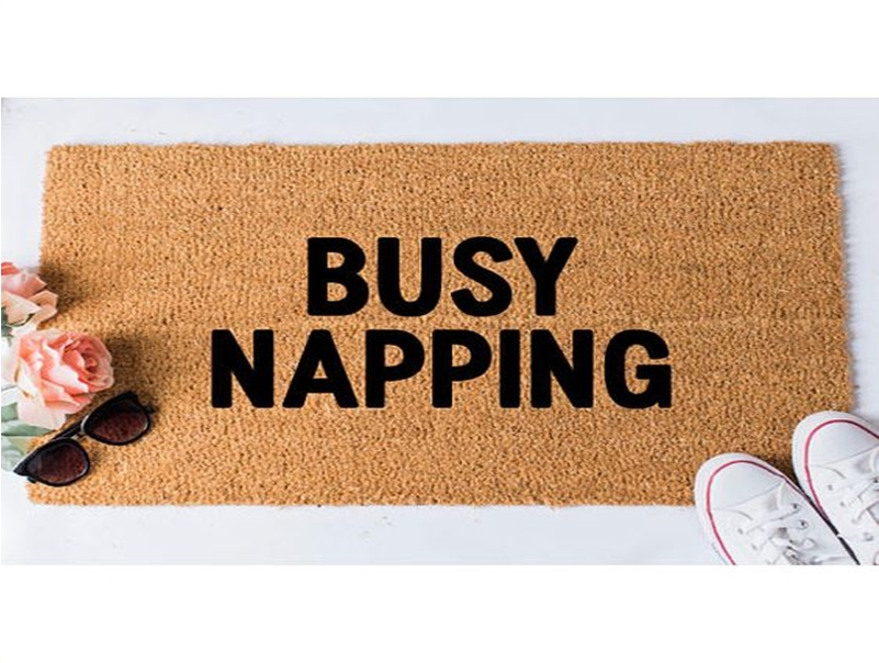 Funny doormat 5