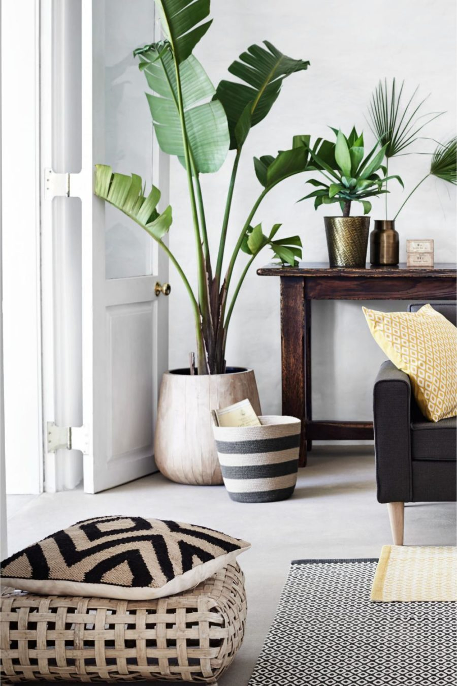 An elegant natural living room with greenery at the corner to create freshness to your room