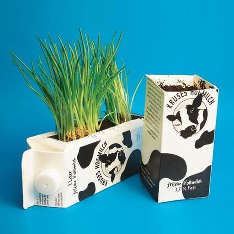 Diy tetra pack vases idea with horizontal position and vertical position for your garden