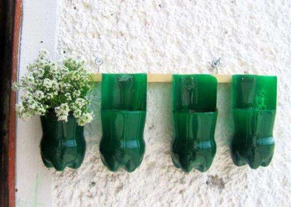 Easy diy plastic flower pot from bottle on the wall with green