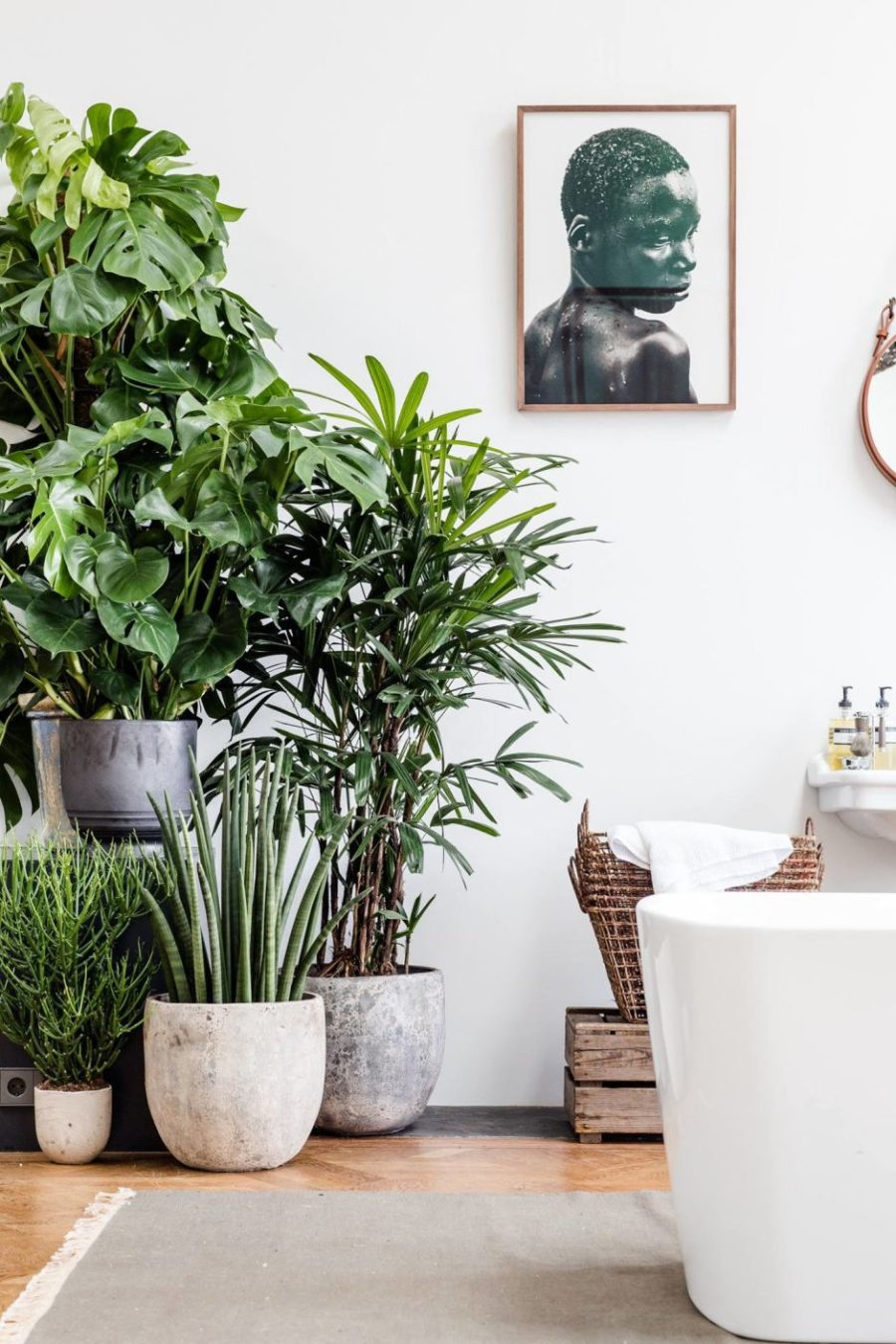 Stunning interior greenery ideas with palm decoration to add warm in your bathroom