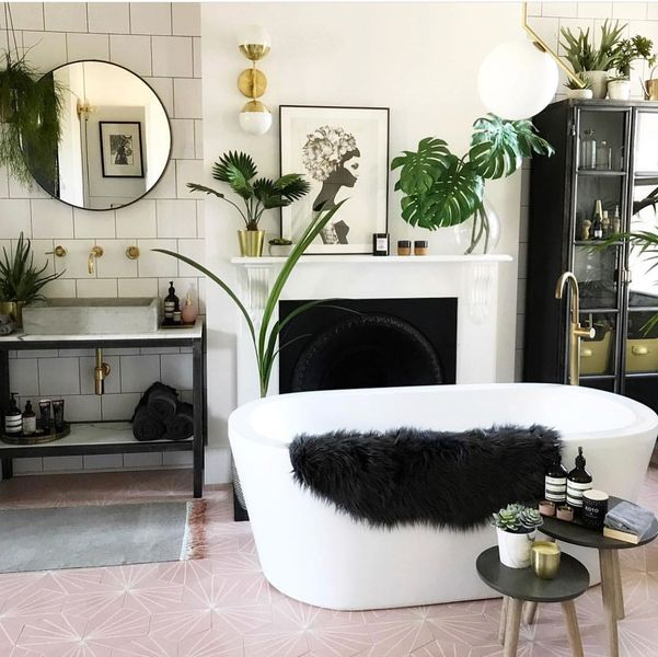 An awesome house plants to perfect your bathroom