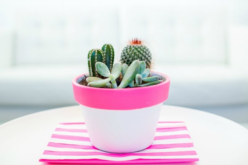 An awesome terracotta pots with pink and white paint to beautify your garden