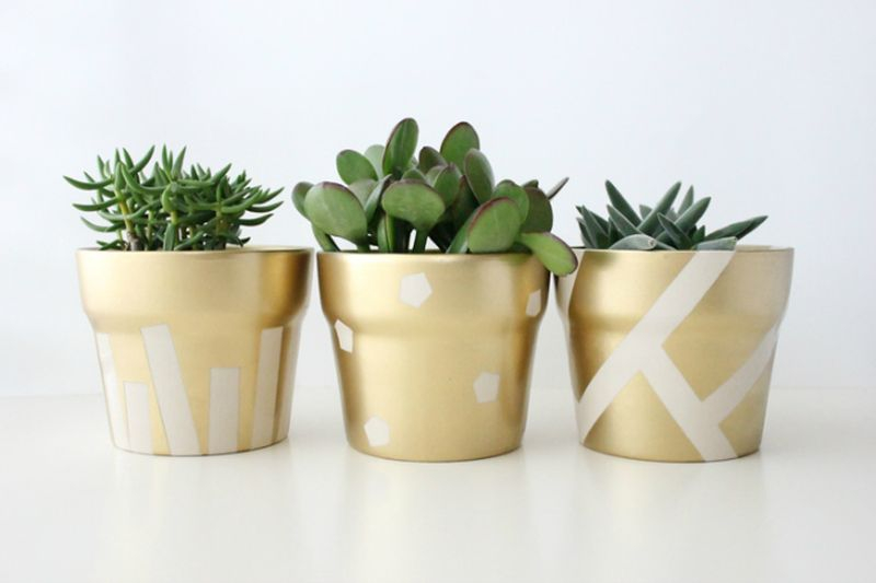 An elegant plastic pots with gold color to make your beautiful garden