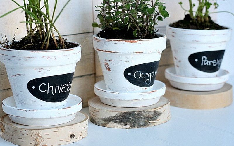 Beautiful chalkboard herb pots with white painted to perfect your garden