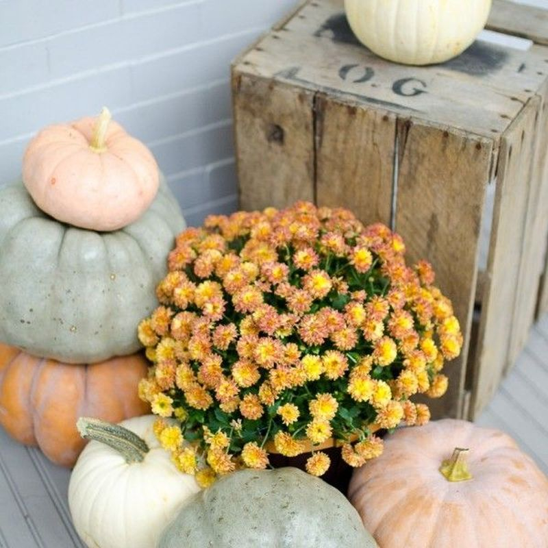 Cozy porch decoration ideas to match any home styles this fall 34