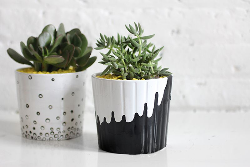 Gorgeous painted pot plants with plants decoration to beautify your garden