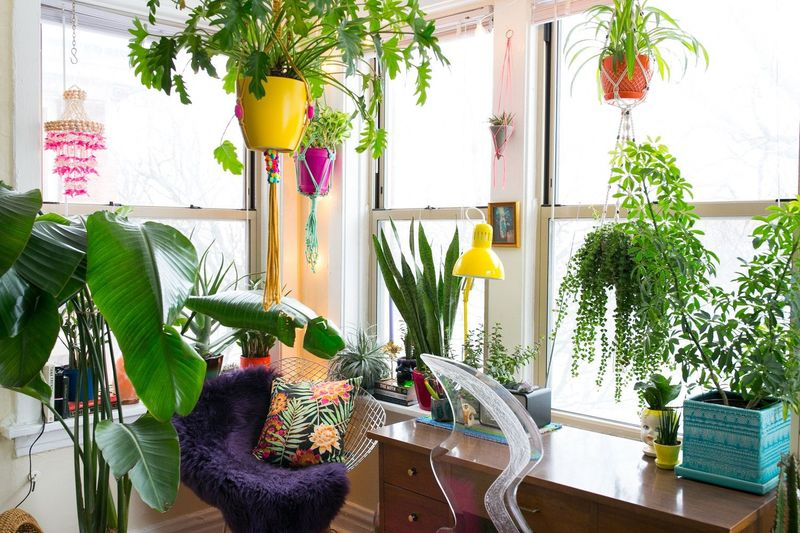Houseplants to perfect your home office
