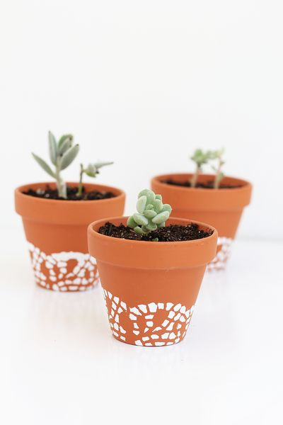 Inspiring pots design with doily painted flower pots to complete your garden decoration