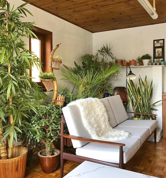 Simple living room design combine with plants decoration