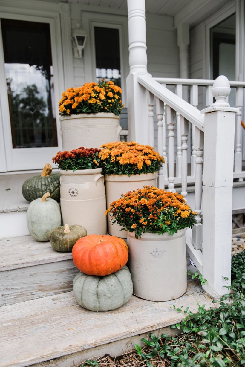 Simple white scheme fall porch ideas for rustic vibe ornament with pumpkin fruit and colorful flower on the stairs