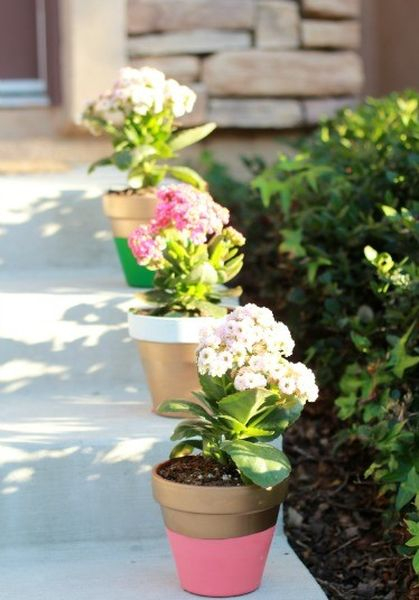 Unique clay pots for garden with colorful painted to perfect your garden